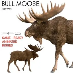 Bull Moose Brown