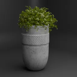 Trailing Green Plant Pot