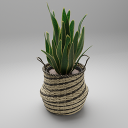 "Nature-inspired indoor 3D model of a Snake Plant in a weaved rafia wicker Planter Pot by BlenderKit. Realistic fabric and intricate macrame details add to the visual appeal of this nature-indoor model."