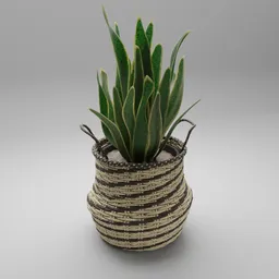 "Nature-inspired indoor 3D model of a Snake Plant in a weaved rafia wicker Planter Pot by BlenderKit. Realistic fabric and intricate macrame details add to the visual appeal of this nature-indoor model."