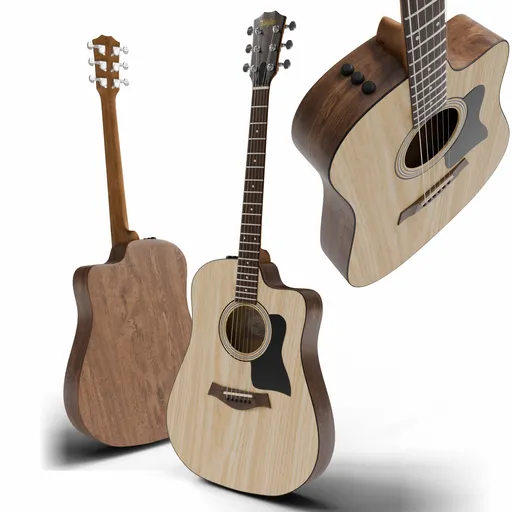 Acoustic Guitar Taylor