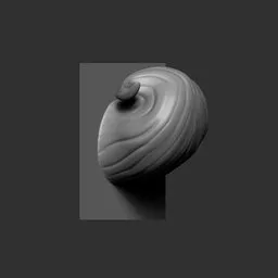 NS Stylized female hair strand curled