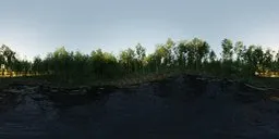 Forrest Lake Morning