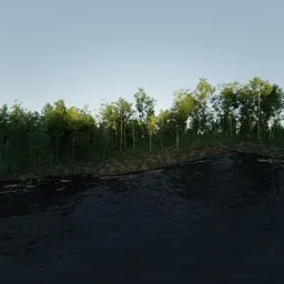 Forrest Lake Morning