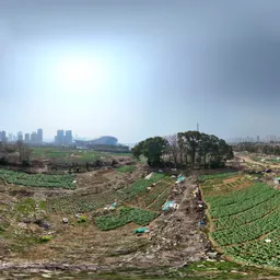 Highsky green farmland