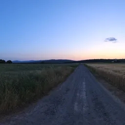 Rural Evening Road