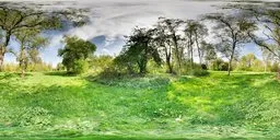 Outdoor Sunny Day Field