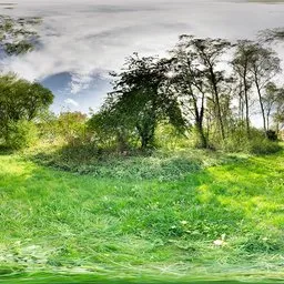 Outdoor Sunny Day Field