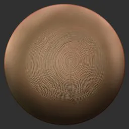 ER_Wood Brush-Wood Rings Tight