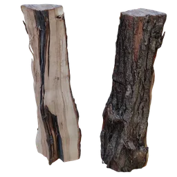 Detailed realistic 3D model of a cut log, perfect for Blender 3D projects, showcasing textures and natural wood features.