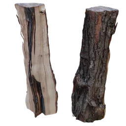 Scan cutted log