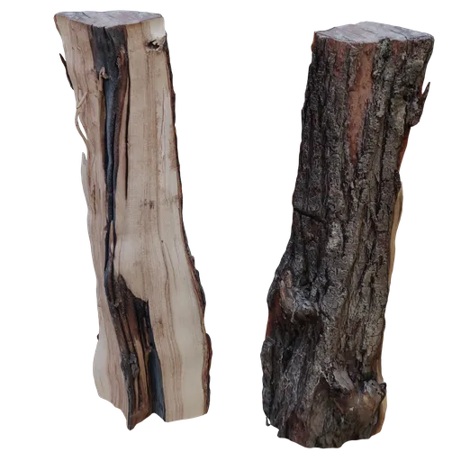 Detailed realistic 3D model of a cut log, perfect for Blender 3D projects, showcasing textures and natural wood features.