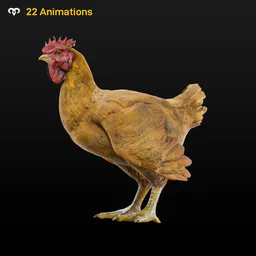 Chicken Animated