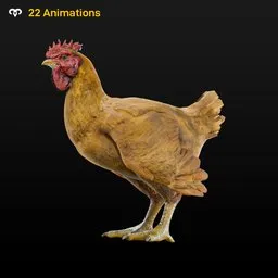 Chicken Animated