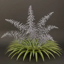 SJ-Celestial Mist Shrub