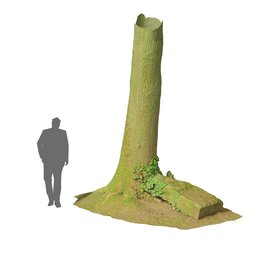 "3D model of an oak tree gravestone captured in an old German park, optimized for Blender 3D. Featuring detailed moss growth, PBR scanning, and accurate fictional proportions. Perfect for use in computer vision, archaeology, and 3D printing projects."