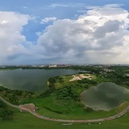Highsky green forest