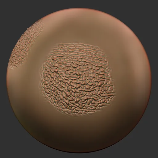 ER_Human Skin(K) 47