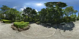 Daytime mountaintop woods