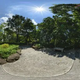 Daytime mountaintop woods