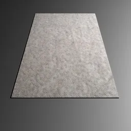 2000x3000mm Carpet