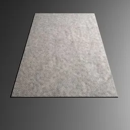 2000x3000mm Carpet