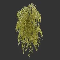 Wall Hanging Autumn Plant AQ