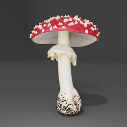 "Get creative with the Mushroom II 3D model for Blender 3D, inspired by Maria Sibylla Merian and featuring a red and white toadstool with white dots, customizable color ramps, and a realistic 95% realism rating. This nature-outdoor category model is perfect for artists and designers seeking realistic and eye-catching props, like the signature sock cap and rotten appearance."