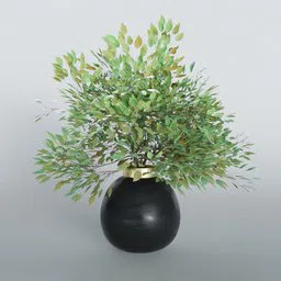 Plant Vase Serie 01