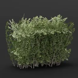Detailed 3D Blender model of a realistic, handcrafted Boxwood Hedge End for enhancing games and virtual scenes.