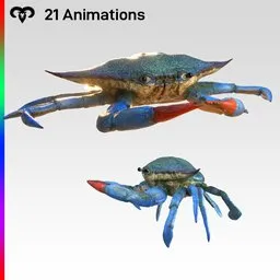 Blue Crab Animated