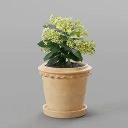 Yellow Potted Plant