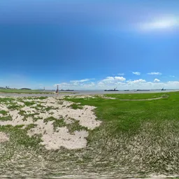 Grass green mud bluesky