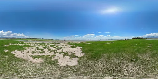 Grass green mud bluesky