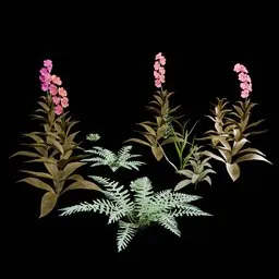 Realistic Outdoor Plants