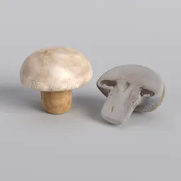 White mushroom set