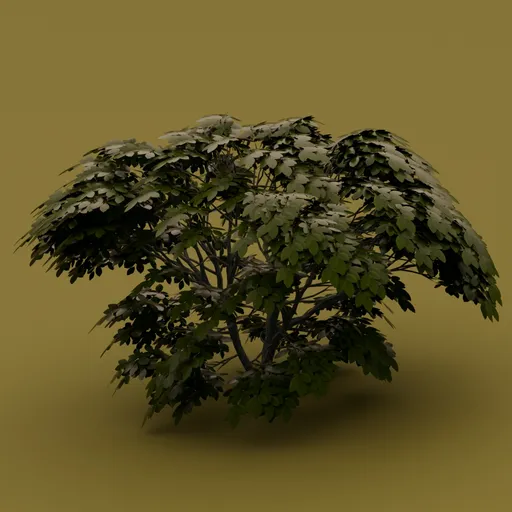 Green leaved bush