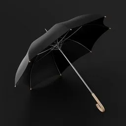 Umbrella Open
