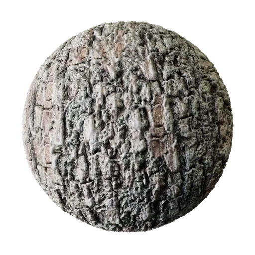 Tree Bark