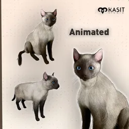 Siamese Cat animated