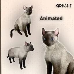Siamese Cat animated