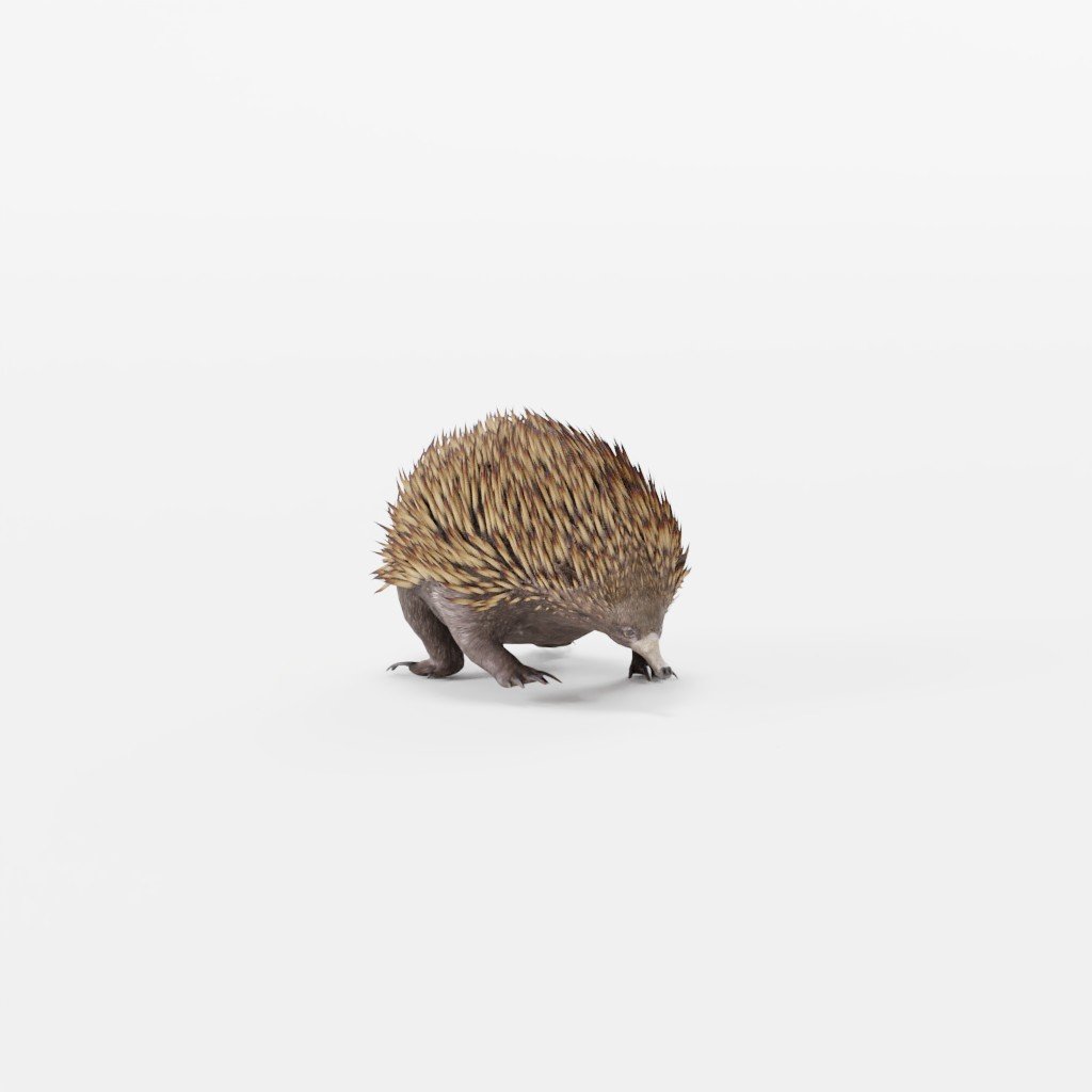 kitten | FREE 3D Mammal models | BlenderKit