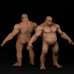 Male Fat Anatomy - RIgged