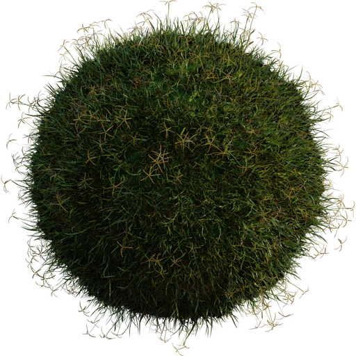 Low Poly Grass Mix 01 | FREE Grass models | BlenderKit