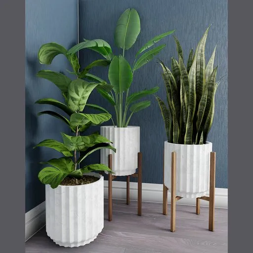Realistic 3D plant models in stylish pots for Blender indoor scene decor, showcasing detailed foliage and natural textures.