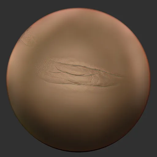 ER_Human Skin(V) 107
