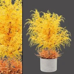 Warm Foliage Bench