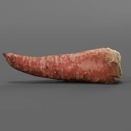 "Realistic scanned 3D model of a carrot, reduced to 15K and compatible with Blender 3D software. The carrot is placed on a grey surface with a minimalist photorealistic style. Inspired by Jean-Baptiste-Siméon Chardin's art and League of Legends item, this model is perfect for fruit and vegetable 3D designs."