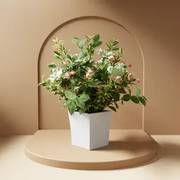 Flowering plant