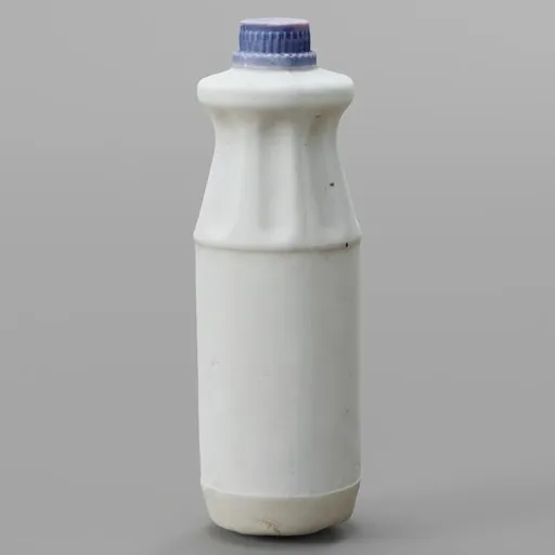 Bottle